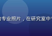 社会学研究员陈明的专业照片，在研究室中专注工作的学者形象